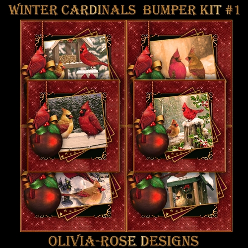 Winter Cardinals Bumper Kit #1  