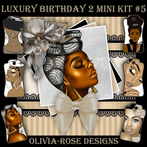 Luxury Birthday 2 Mini Kit #5    