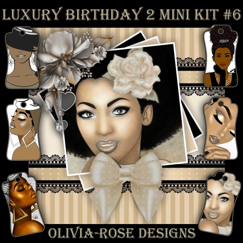 Luxury Birthday 2 Mini Kit #6    