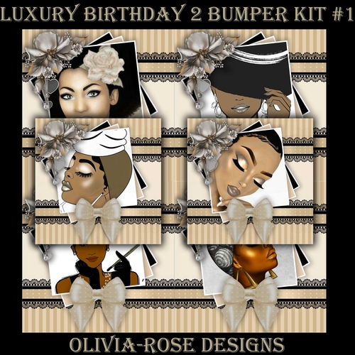 Luxury Birthday 2 Bumper Kit #1   