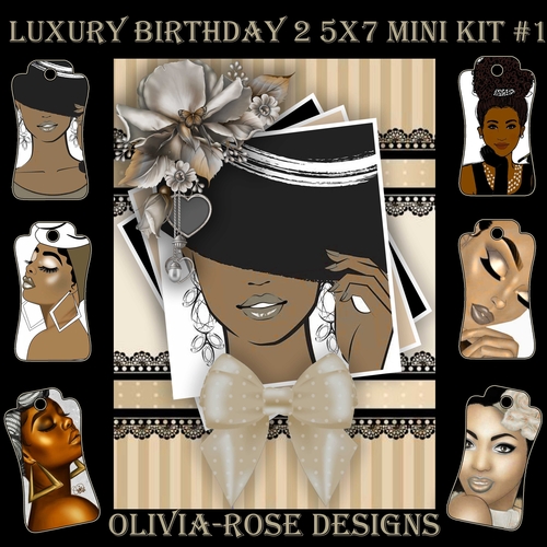 Luxury Birthday 2 5X7 Mini Kit #1      ,    