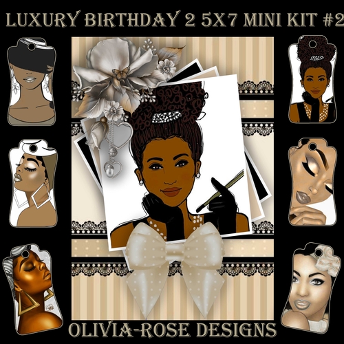 Luxury Birthday 2 5X7 Mini Kit #2      ,    