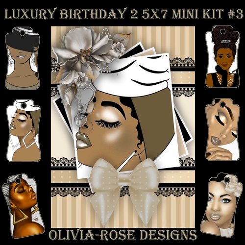 Luxury Birthday 2 5X7 Mini Kit #3      ,    
