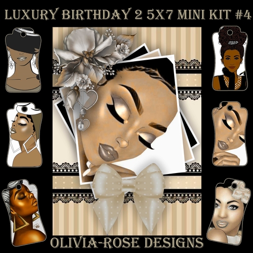 Luxury Birthday 2 5X7 Mini Kit #4      ,    