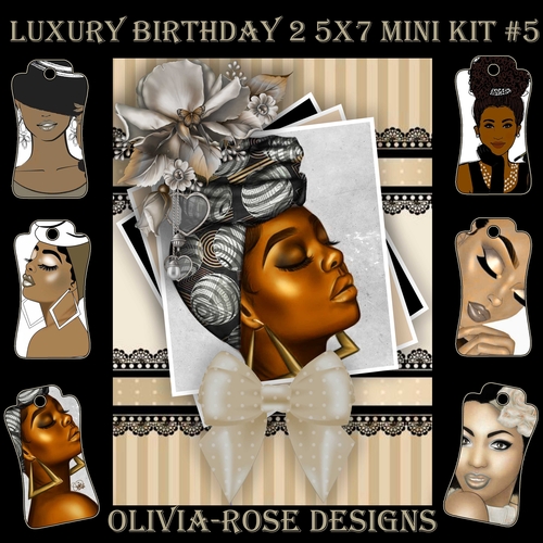 Luxury Birthday 2 5X7 Mini Kit #5      ,    