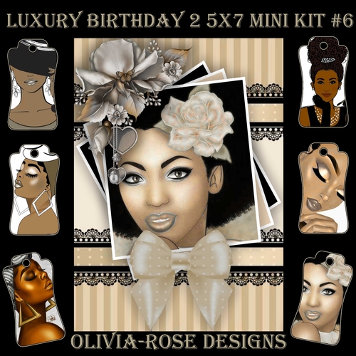 Luxury Birthday 2 5X7 Mini Kit #6      ,    