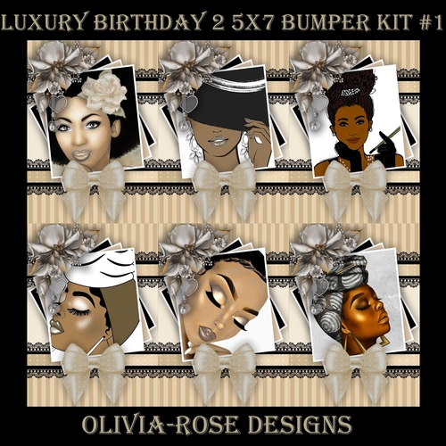 Luxury Birthday 2 5X7 Bumper Kit #1      ,    