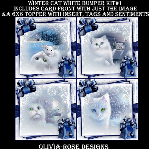 Winter Cat White Bumper Kit #1 