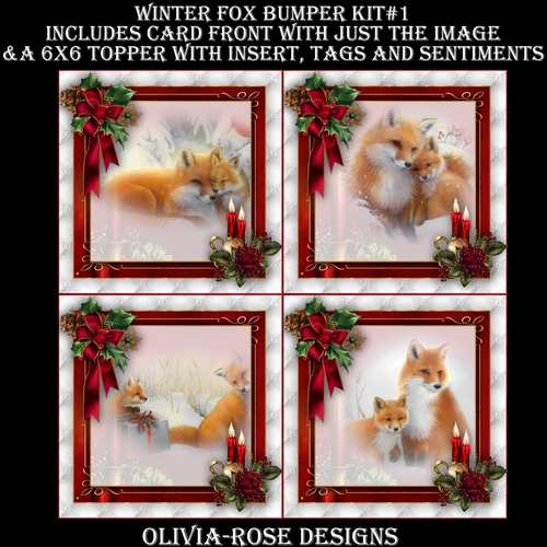 Winter Fox Bumper Kit #1   