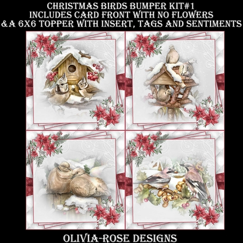 Christmas Birds Bumper Kit #1   