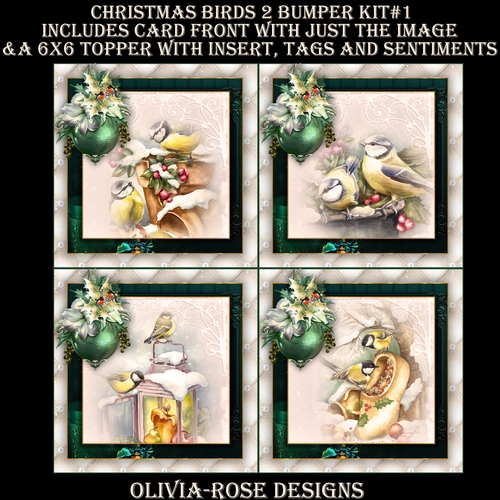 Christmas Birds 2 Bumper Kit #1   