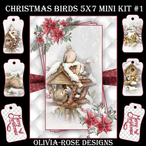 Christmas Birds 5X7 Mini Kit #1  