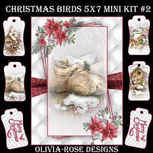 Christmas Birds 5X7 Mini Kit #2  