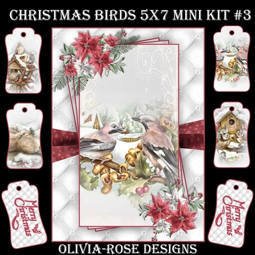 Christmas Birds 5X7 Mini Kit #3  