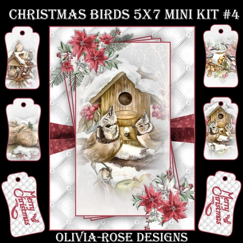 Christmas Birds 5X7 Mini Kit #4  