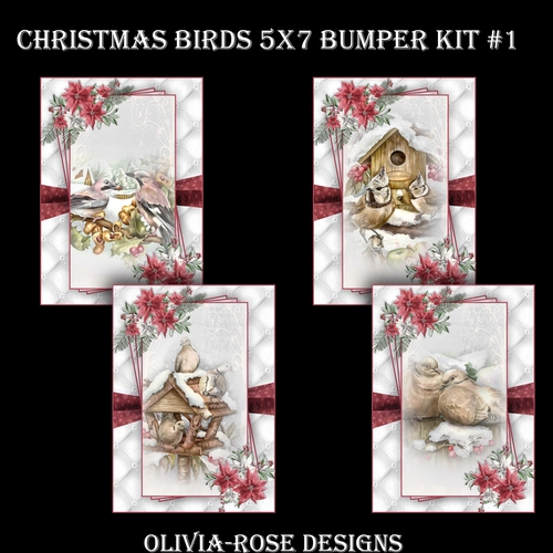 Christmas Birds 5X7 Bumper Kit #1  