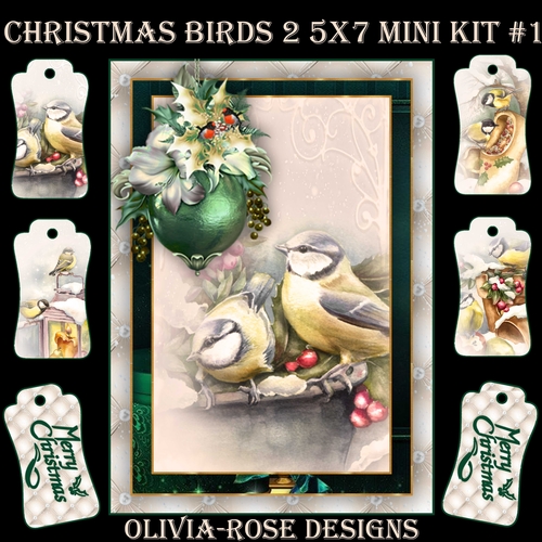 Christmas Birds 2 5X7 Mini Kit #1  