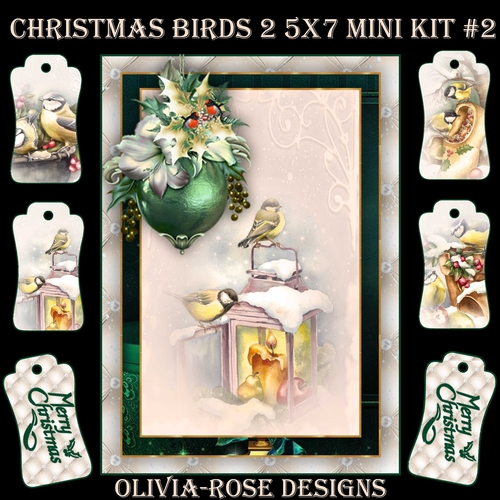 Christmas Birds 2 5X7 Mini Kit #2  