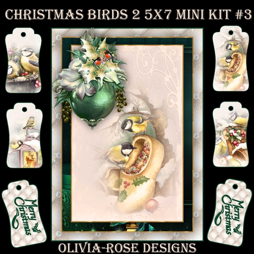 Christmas Birds 2 5X7 Mini Kit #3  