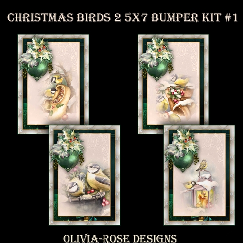 Christmas Birds 2 5X7 Bumper Kit #1  