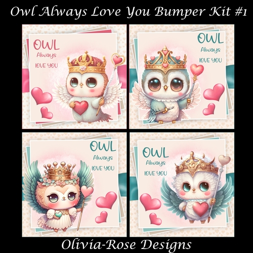 Owl Always Love You Bumper Kit #1 