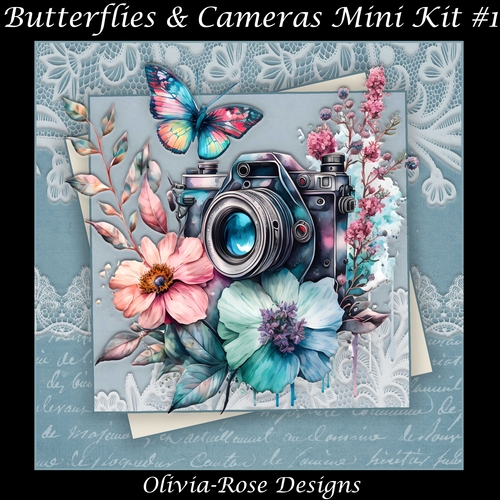 Butterflies & Cameras Mini Kit #1