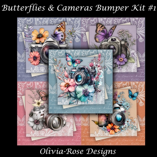 Butterflies & Cameras Bumper Kit #1