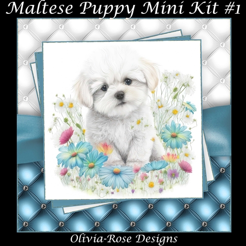 Maltese Puppy Mini Kit #1