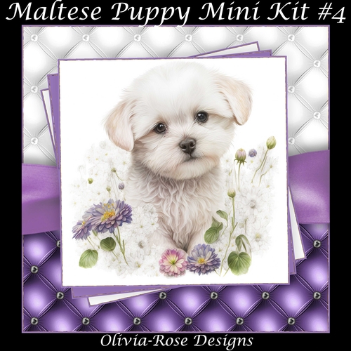 Maltese Puppy Mini Kit #4