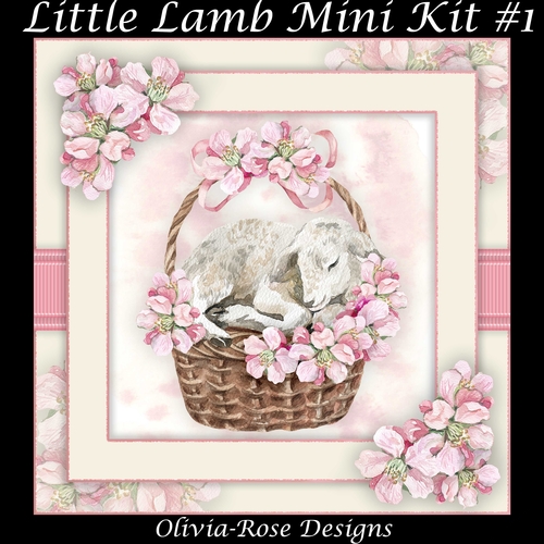 Little Lamb Mini Kit #1
