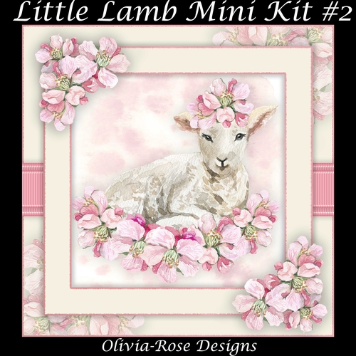 Little Lamb Mini Kit #2