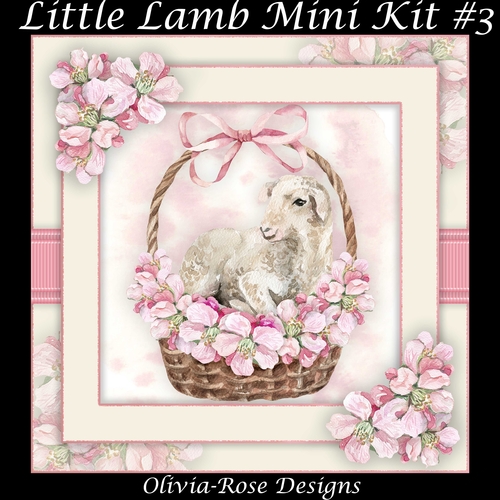 Little Lamb Mini Kit #3