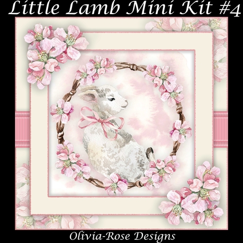 Little Lamb Mini Kit #4