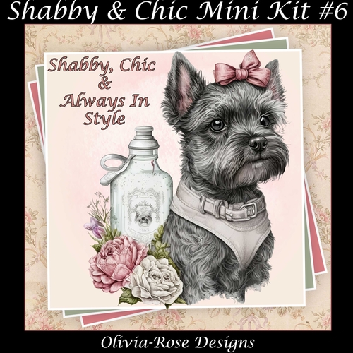 Shabby & Chic Mini KIt #6  