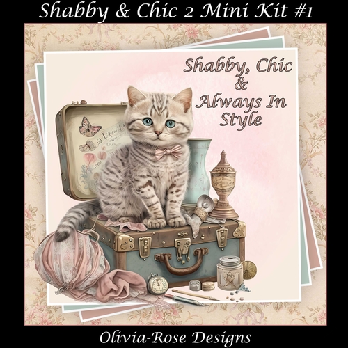 Shabby & Chic 2 Mini KIt #1 