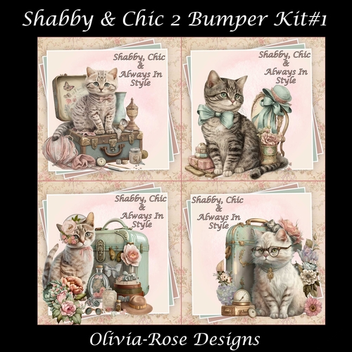 Shabby & Chic 2 Bumper KIt #1 