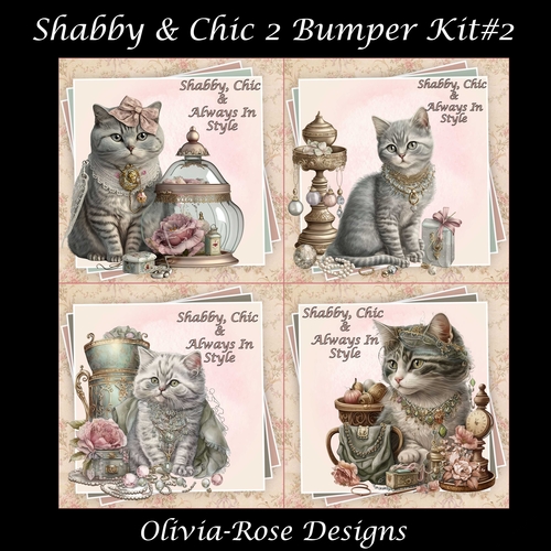 Shabby & Chic 2 Bumper KIt #2 