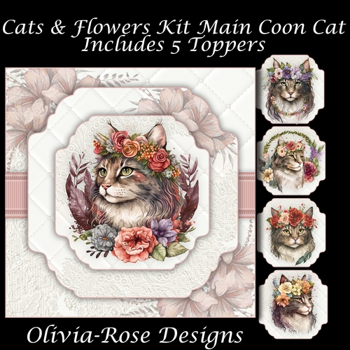 Cats & Flowers Kit Main Coon Cat 