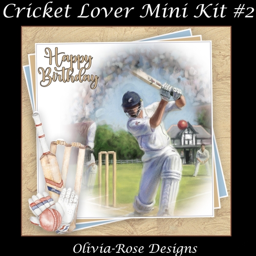 Cricket Lover Mini Kit #2   