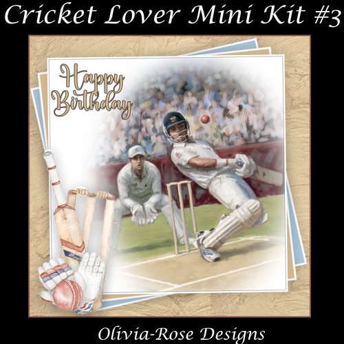 Cricket Lover Mini Kit #3   