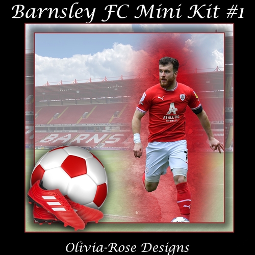Barnsley FC Mini Kit #1  