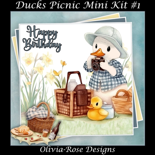 Ducks Picnic Mini Kit #1   **Includes card front with no text or decoupage**  