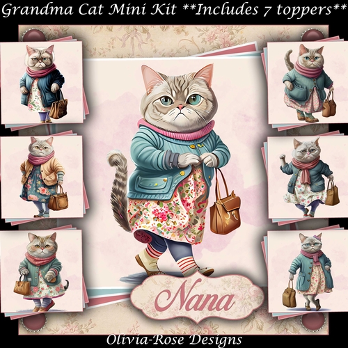 Grandma Cat Mini Kit 