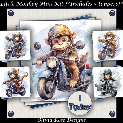 Little Monkey Mini Kit 