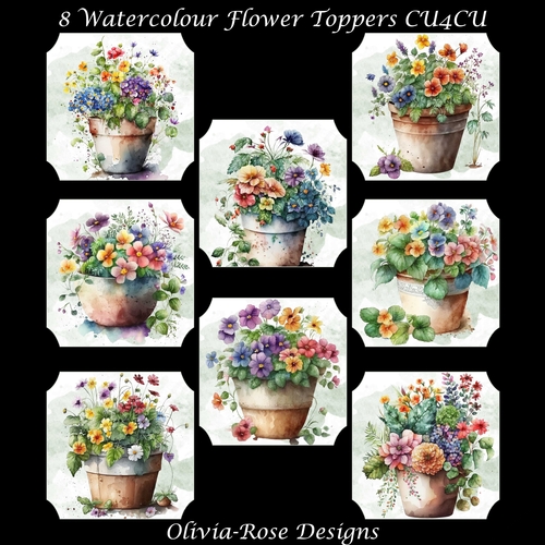 8 Watercolour Flower Toppers   