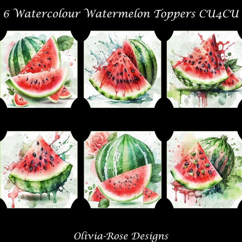6 Watercolour Watermelon Toppers   