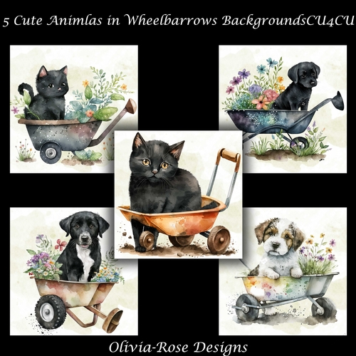5 Cute Animals in Wheelbarrows Backgrounds   