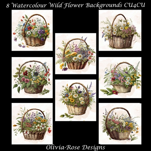 8 Watercolour Wild Flower Backgrounds   