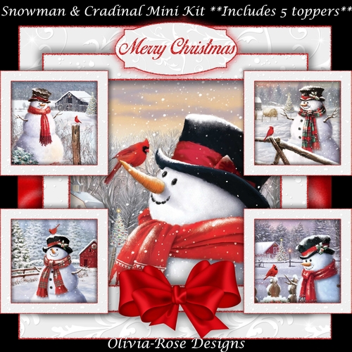  Snowman & Cardinal Mini Kit   