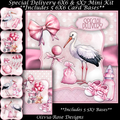 Special Delivery Pink Mini Kit   